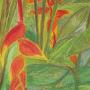 Exotic Flowers - Inspired by holiday in Jamaica<br />                                    2010 -   oil pastel 70 x 50 